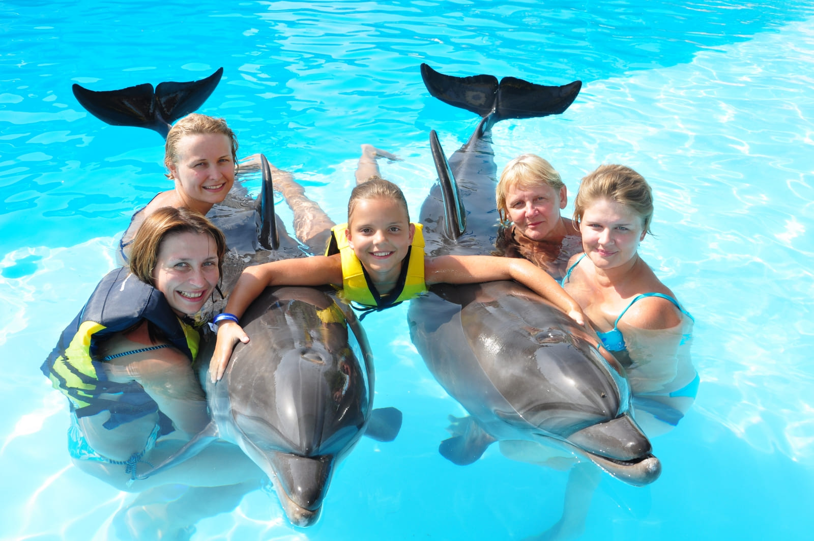 Плавание с Дельфином в Кемере 